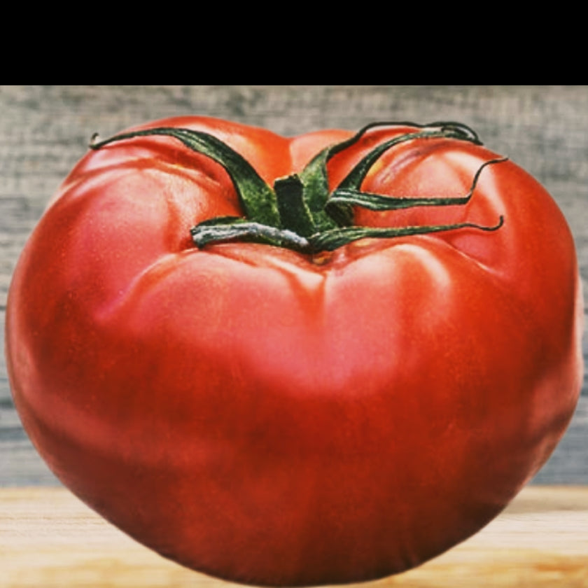 Tomato seeds - delicious.