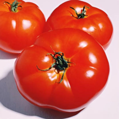 Tomato seeds - delicious.