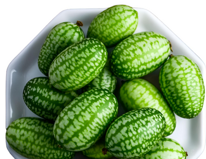 Cucamelon Mexican sour gerkin  Seeds.