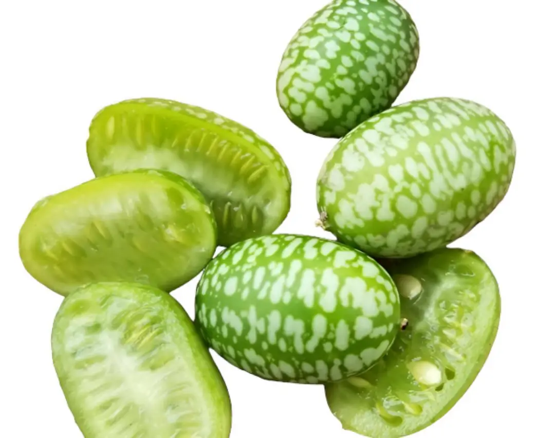Cucamelon Mexican sour gerkin  Seeds.