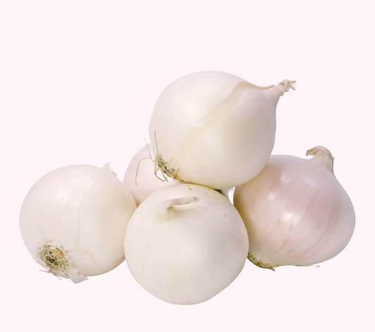 Onion Seeds (Long Day) - White Sweet Spanish