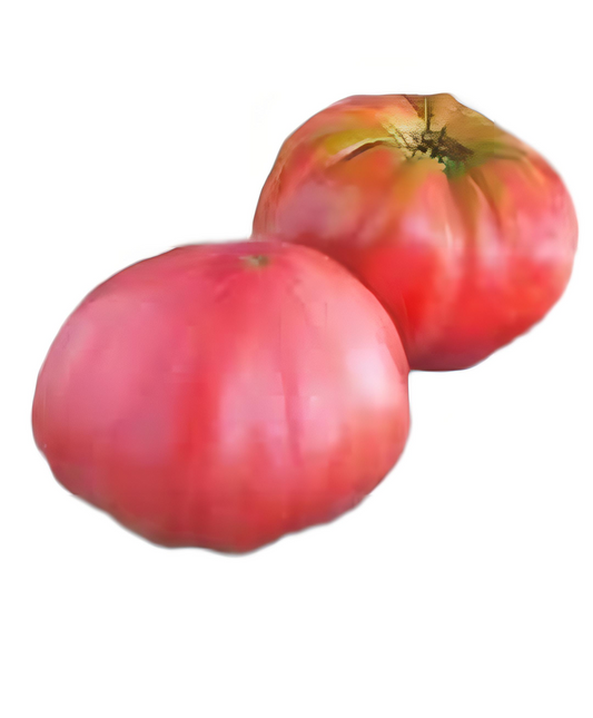50 Brandywine Tomato Seeds. Heirloom and non GMO - seedsfun