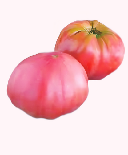 50 Brandywine Tomato Seeds. Heirloom and non GMO - seedsfun