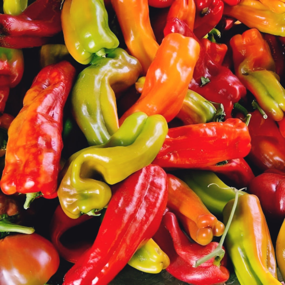 Pepper Seeds - 50 Anaheim Chili. Heirloom and non GMO.