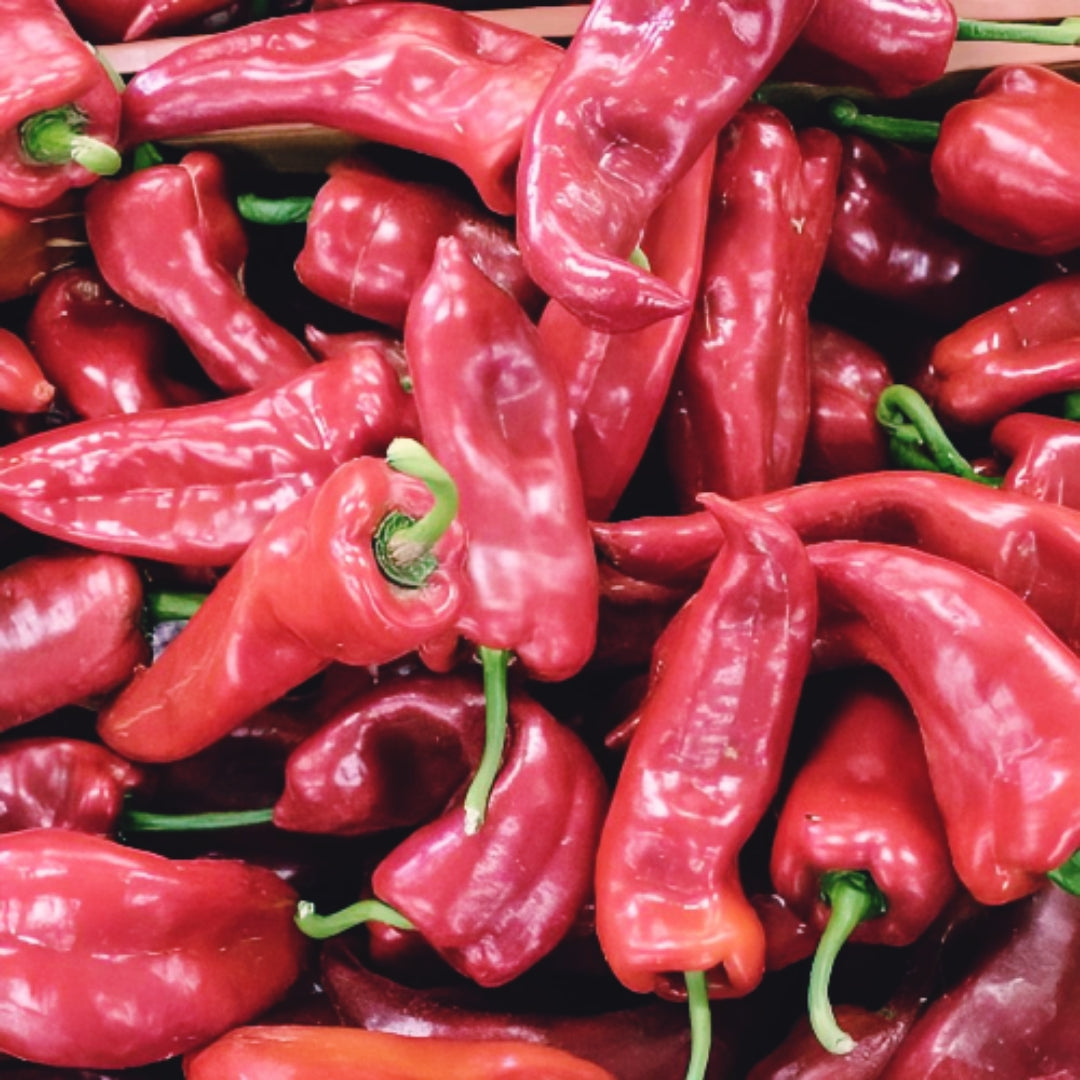 Buy Hot pepper seeds online 