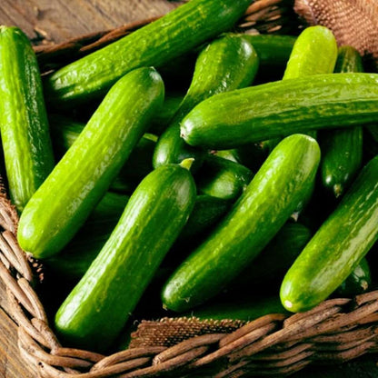 Beit Alpha cucumber. 25 Seeds