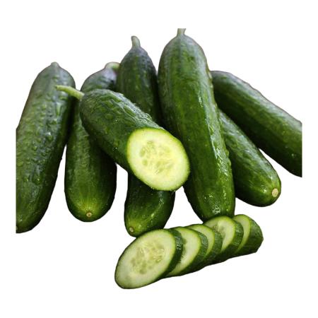 Beit-alpha-cucumber- seeds- 25