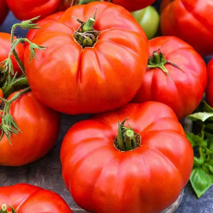 Beefsteak Tomato. 100 Seeds.