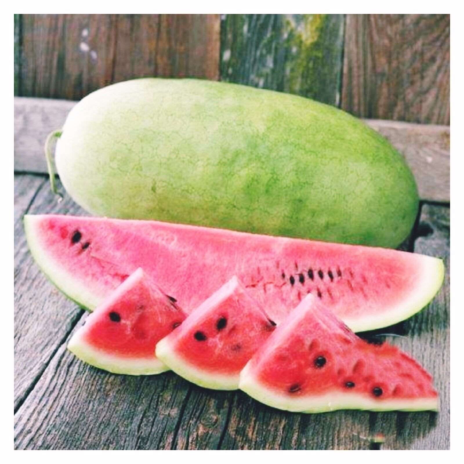 Charleston Grey Watermelon. 10 seeds