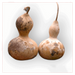 Birdhouse Gourd. 10 Seeds