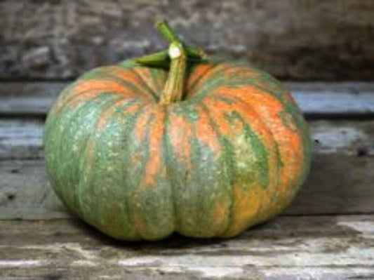 Iran Winter Squash pumpkin, Seeds.