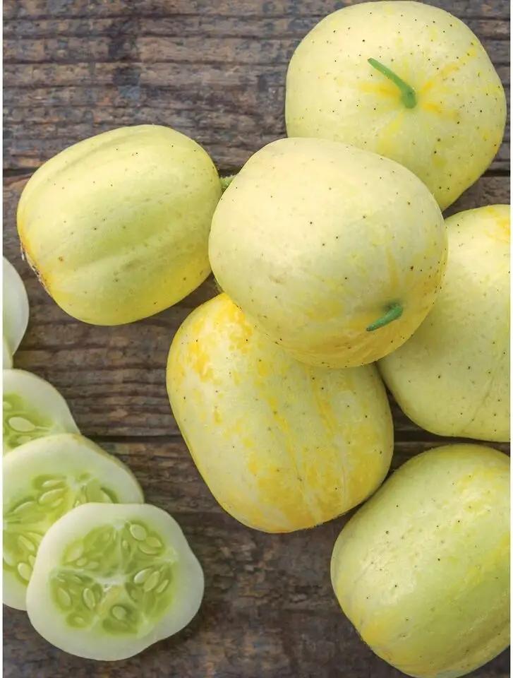 Lemon Cucumber  Seeds.