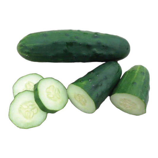 Marketmore 76 Cucumber Seeds