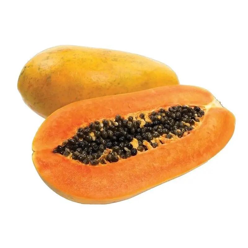 Maradol Papaya Seeds