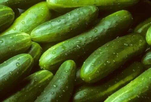 cucumber seeds.