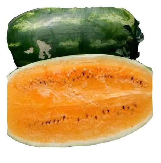 Tendersweet Orange Watermelon Seeds.